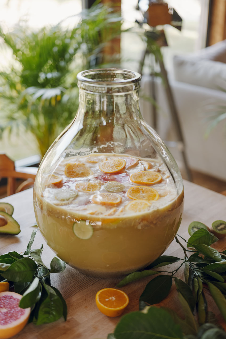 Lebendige Symbiosen – Forschung im Feld